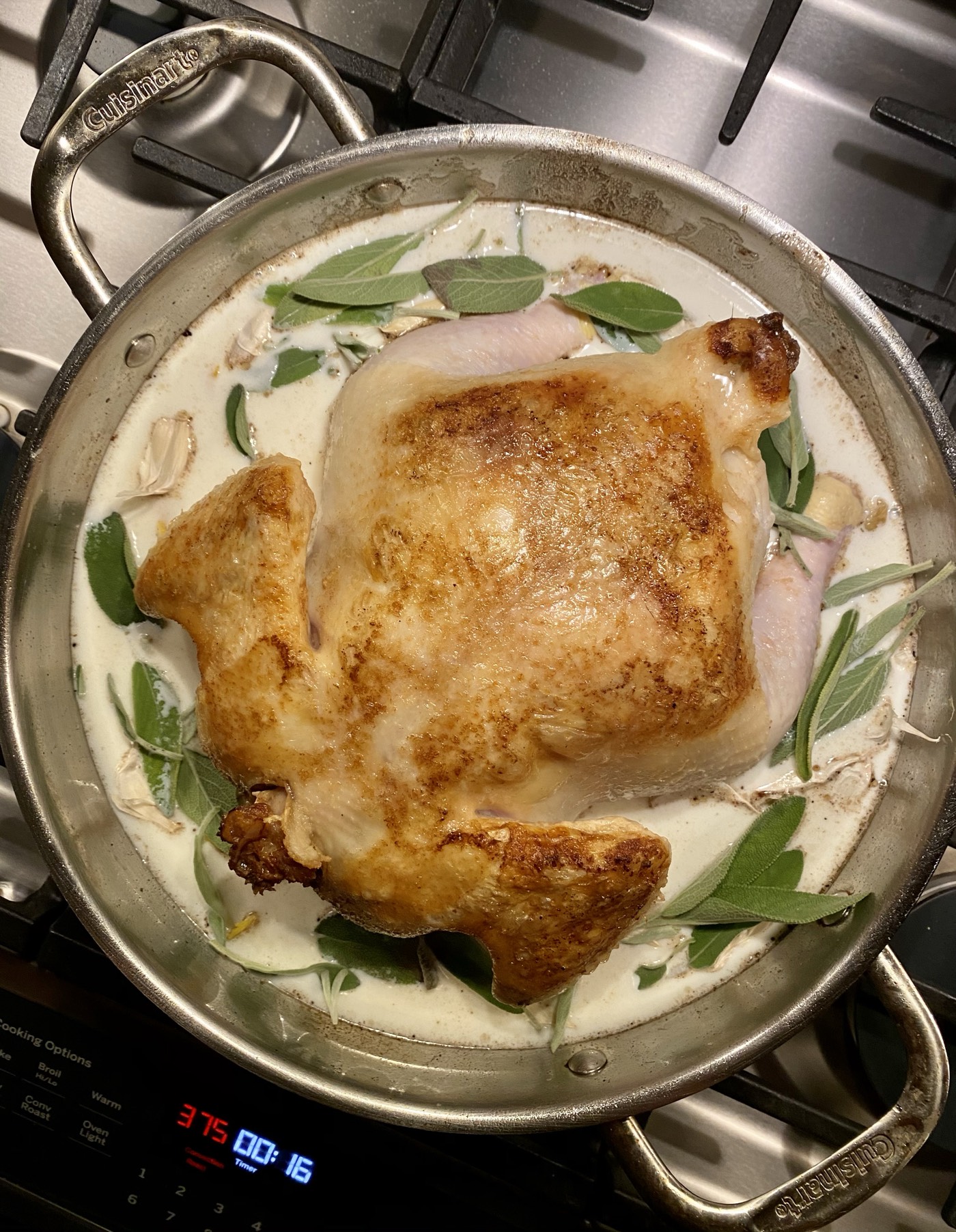 Whole chicken browned and roasting in milk with fresh sage leaves and garlic