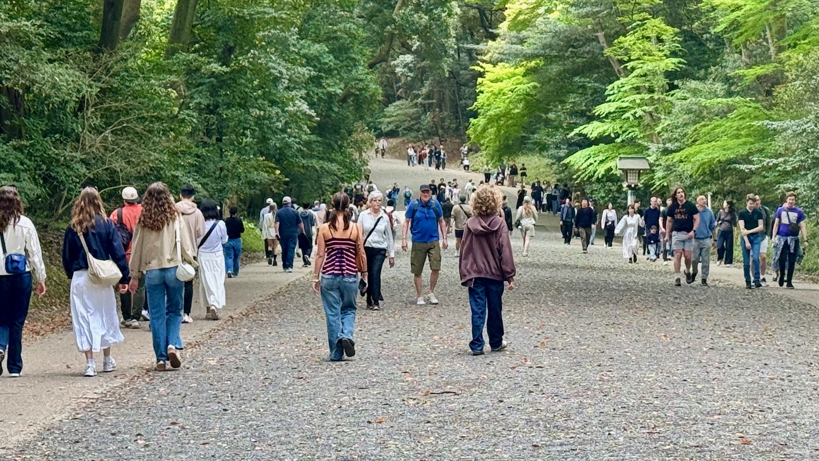 Walking through Yoyogi Park