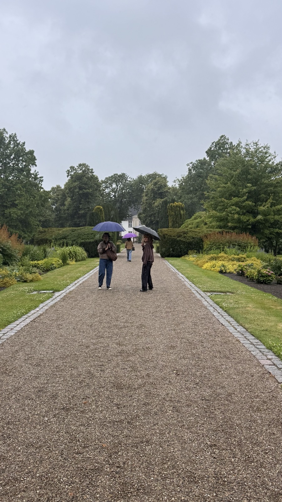A rainy garden allee stroll